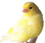 [Company Logo Image]
